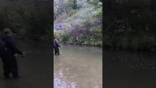 Salmon fishing part 1 canada canadalife [upl. by Dahs]