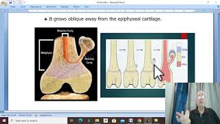 Orthopaedic in Arabic 55  Osteochondroma   by DrWahdan [upl. by Vastha49]