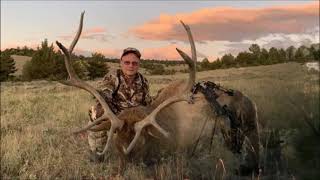 WY Bull Elk  Crossbow Ashby 315 broadhead  Near Instant Death [upl. by Myrna]