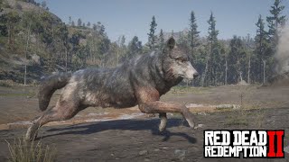 LEGENDARY WOLF  Red Dead Redemption 2 Part 59 [upl. by Mora]