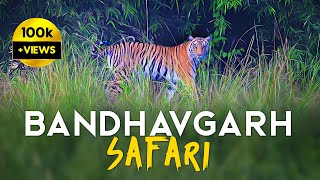 EP 01  Magadhi Zone Safari  Bandhavgarh Tiger Reserve  4K Video [upl. by Julissa]