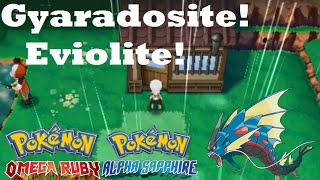 Pokemon Omega Ruby and Alpha Sapphire HOW TO GET GYARADOSITE AND EVIOLITE [upl. by Hnilym]