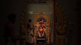 omsaravanabhava devotionalsong murugadevotional trending Murugan songTamil kadavul Murugan song [upl. by Innes360]