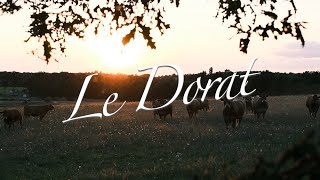 LE DORAT FRANCE [upl. by Eesak]