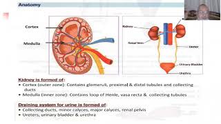 NEPHROLOGY HEMATURIA [upl. by Pravit]