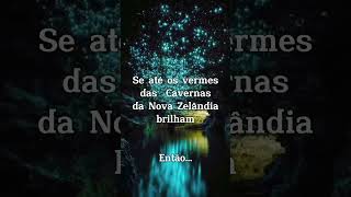 Cavernas Brilhantes da Nova Zelândia 🌟✨ [upl. by Atnod]