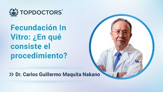 Fecundación In Vitro ¿En qué consiste el procedimiento [upl. by Gussman]