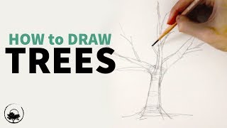 How to Sketch amp Draw Trees  Understanding the Fundamentals [upl. by Lasley350]