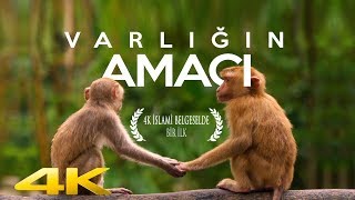 Varlığın Amacı ve İslam Dini 4K BELGESEL [upl. by Harriman]