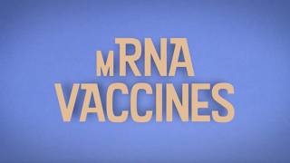 How the mRNA Vaccine Works [upl. by Avehsile450]