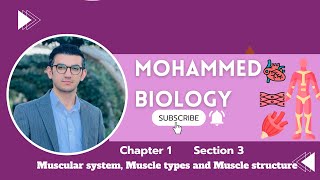 Ch1sec3 Muscular system muscle types muscle structureبەندی١کەرتی٣ماسولکەکۆئەندام class biology [upl. by Arhna]