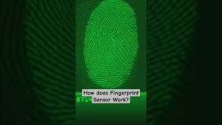 How does Fingerprint Sensor Work shorts [upl. by Nima]