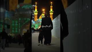 Karbala Janey Walo Dare Abbas Pe Jab Tum Jana 😢❤ yababehawaij karbala janahaikarbala [upl. by Aierdna]