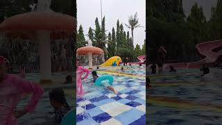 Swimming time song music playground makanicecream animals baby maindiplayground renang [upl. by Neerehs]