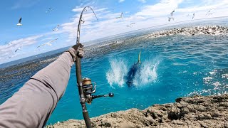 Catching Giant Fish in Feeding Frenzy Hectic Footage [upl. by Hillari]