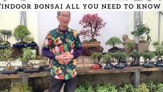 Indoor Bonsai All You Need To Know [upl. by Modnarb]