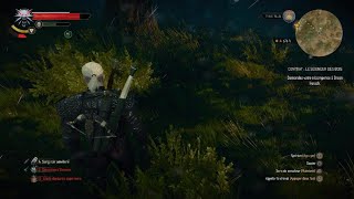 The Witcher 3sang et bois [upl. by Nilla]