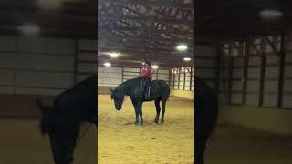 Dismounting from an 18hh horse 🤣 [upl. by Ainavi]