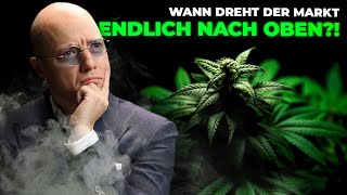 Überlebt der Cannabis Riese [upl. by Stenger]