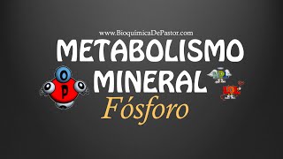 Metabolismo del Fósforo  Bioquímica de Pastor [upl. by Dione]