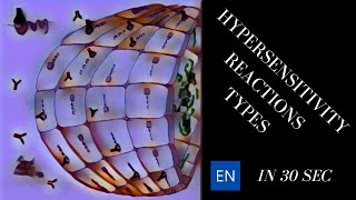 Hypersensitivity Reactions Types Shorts [upl. by Romeon]