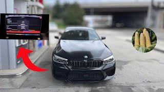 I FLASHED E85 TUNE ON MY BMW 54OI  MASSIVE POWER GAINS [upl. by Namijneb]