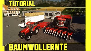 LS19 Baumwollernte Tutorial Kurz verständlich und leicht erklärt [upl. by Grew]