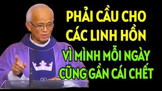 PHẢI CẦU NGUYỆN CHO CÁC LINH HỒN VÌ MÌNH MỖI NGÀY GẦN CÁI CHẾT  CHA PHẠM QUANG HỒNG GIẢNG MỚI NHẤT [upl. by Home]