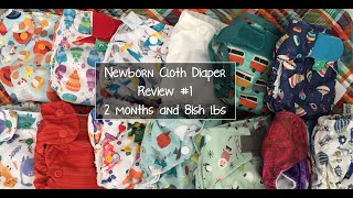 Newborn Cloth Diaper Review 1  12 Different Brands  March 2020 [upl. by Thetisa723]