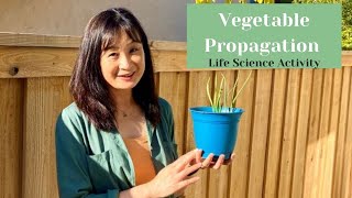 Vegetable Propagation for Kids [upl. by Etty]