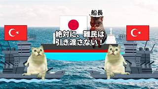 【歴史に残る絆】日本人が知らない超親日国トップ3！猫マニ 猫ミーム [upl. by Aillimac37]