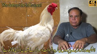 Who are the people who ended the birdloving hobby  پرندوں کے شوق کا خاتمہ کرنے والے ہیں کون؟ [upl. by Wolfram]