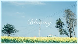 que  Bloomy Official Audio [upl. by Celestine]