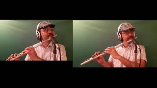 Doe a deer do re mi english film song flute cover by Suren Chennu [upl. by Gittle]