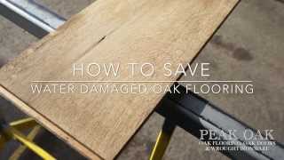 How To Save Water Damaged Oak Flooring [upl. by Clarhe]