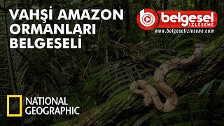 Vahşi Amazon Ormanları Belgeseli  Türkçe Dublaj [upl. by Soigroeg]