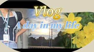 come spend A day wit me🐣 calm vlog Northeast🇮🇳 [upl. by Chadwick]