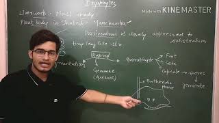 Liverworts detailed description [upl. by Gilpin]