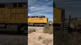 2x2x0 Colorful Intermodal Amongst the Desert Shrubs [upl. by Orella646]