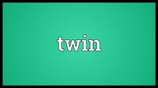 Twin Meaning [upl. by Bryant235]