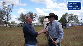 CC with Cameron Webster at Chinchilla Campdraft [upl. by Adao]