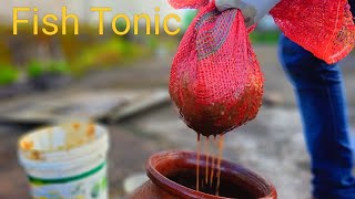 Amino acid Fish Tonic application for better flower fruits and plant growth [upl. by Henriha931]