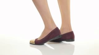 Aerosoles Bechnicolor Flats [upl. by Anastasie]