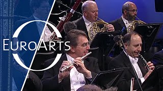 Johann Strauss  An der schönen blauen Donau Waltz Vienna Philharmonic Orchestra Zubin Mehta [upl. by Vail370]