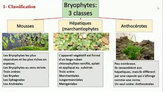 Chapitre 4  Bryophytes ou Mousses [upl. by Seaddon416]