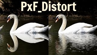 PxFDistort [upl. by Loutitia]