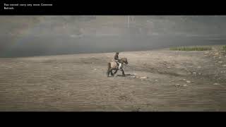 Red Dead Redemption 2 Online  Grullo Dun Horse  Breton [upl. by Phalan]