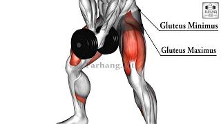 dumbbell bar grip sumo squat [upl. by Eked]