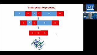 A webinar talk on Gene regulationAn evolutionary perspective [upl. by Aicilana470]