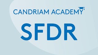 What is SFDR [upl. by Guyer]